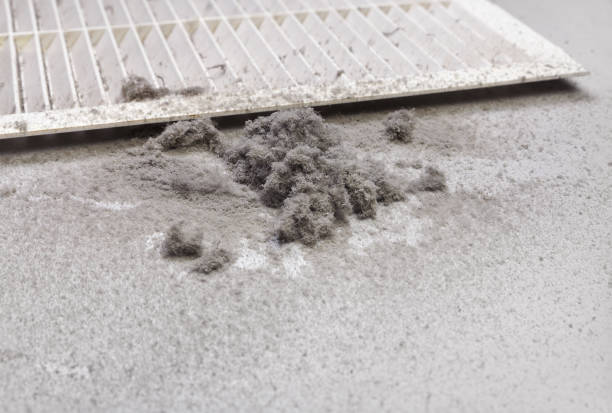 Best Emergency Air Duct Cleaning  in Wood River, NE